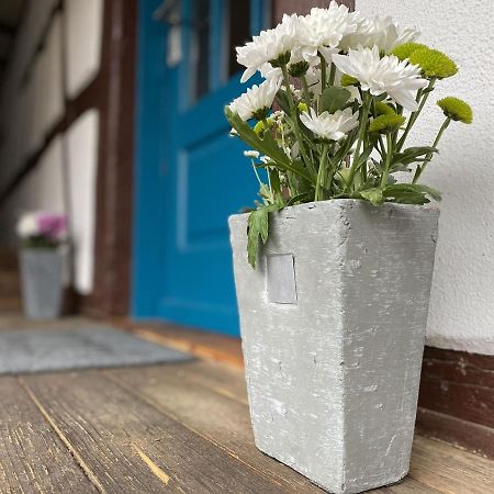 Traumhaft Wohnen Im Haus Blum Leilighet Herbolzheim Eksteriør bilde