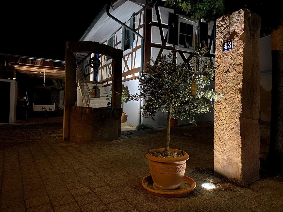 Traumhaft Wohnen Im Haus Blum Leilighet Herbolzheim Eksteriør bilde